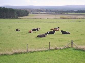 Ard Garraidh Ardersier Quarto foto